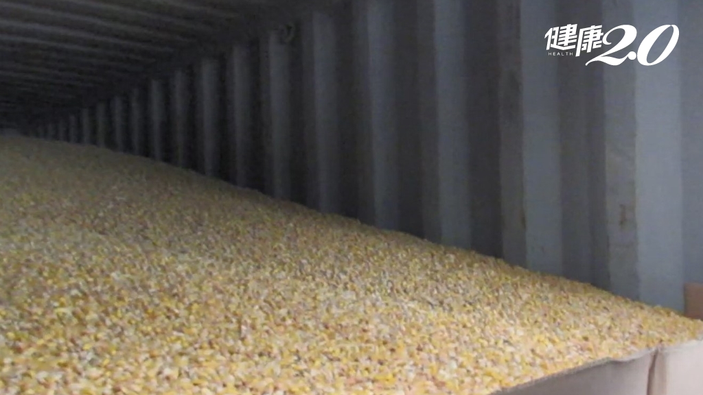 美國玉米首度驗出「嘔吐毒素」500噸全退運銷毀！醫：吃了恐狂吐、傷肝