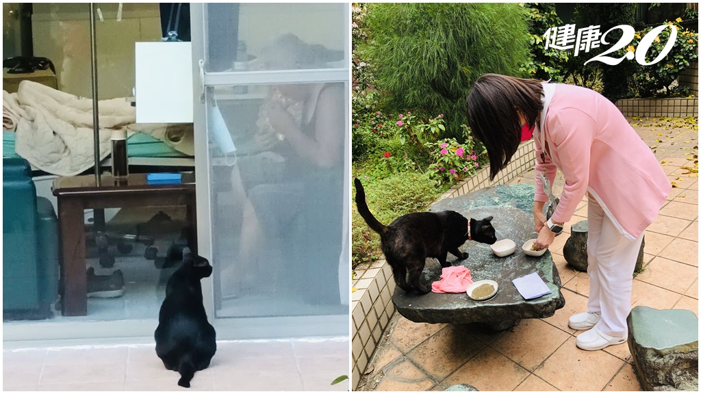 化妝師開瓦斯輕生，貓咪「1舉動」救了她！寵物治療讓病童不哭 馬偕院貓療癒病人和醫護