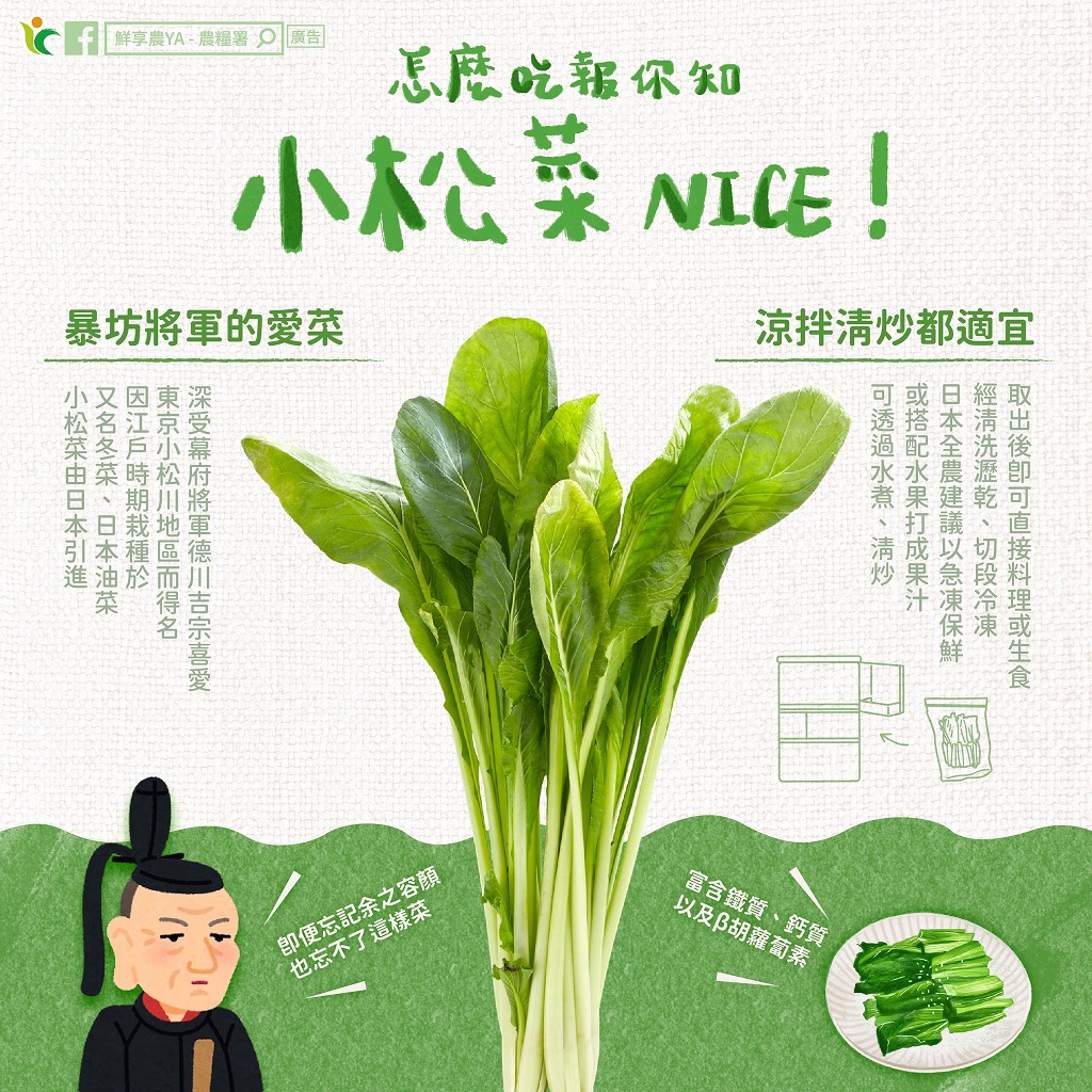 日本人超愛！「天然營養品」小松菜鈣質比牛奶、菠菜多，提高免疫力、預防骨鬆神隊友