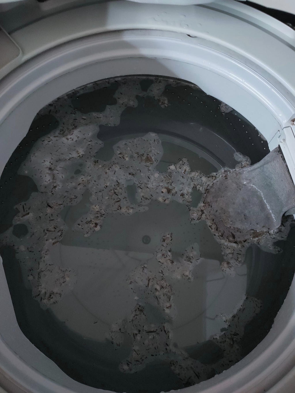 網友激推1物清潔洗衣機 浮出超多黑垢！專家1招去汙除臭 連內膽都乾淨
