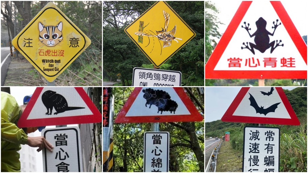 日本人遊東北角見「超萌路標」融化了！不只熊出沒 綿羊、梅花鹿、食蟹獴帶你遊台灣
