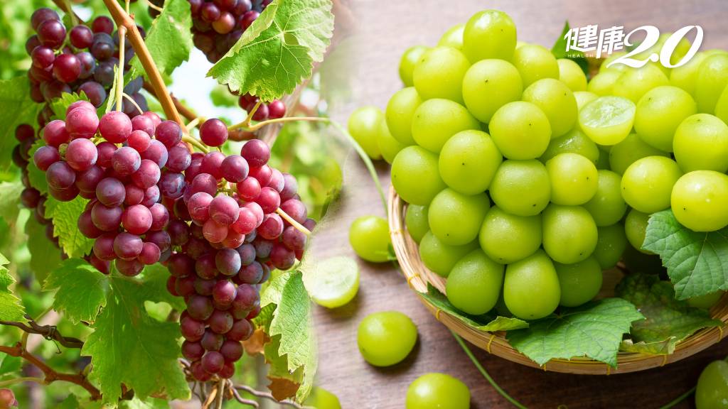葡萄只吃果肉浪費了！多吃兩部位助排毒、抗老化 這顏色葡萄還能減肥、防高血壓