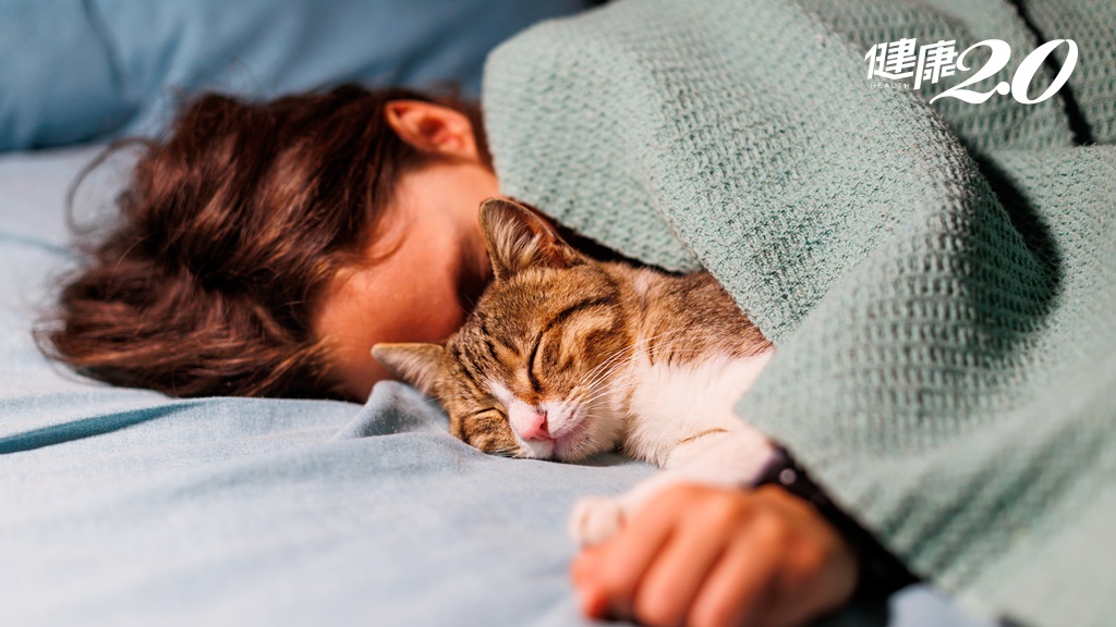 貓咪睡「這裡」代表超愛你？獸醫帶你揭密貓咪睡眠意義 都睡好才能過得好