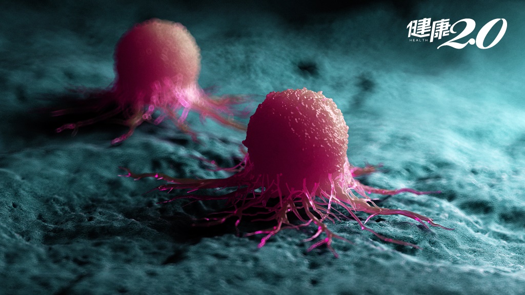 科學家發現：癌細胞的自毀「殺手開關」！未來的癌症療法提供新突破方向
