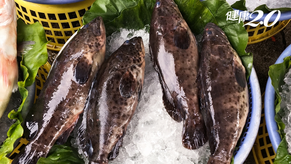石斑魚營養有哪些？專家推1道石斑料理補鈣、防失智 加1物沒腥味