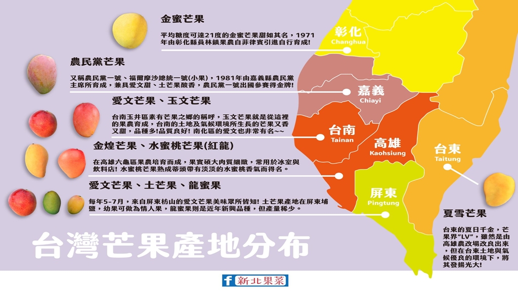 台灣芒果地圖快收！9種芒果產地大不同 這種芒果又稱「芒果界的LV」