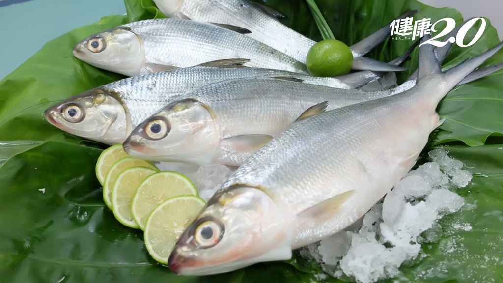 虱目魚增肌減脂最佳助攻手！虱目魚從頭到尾