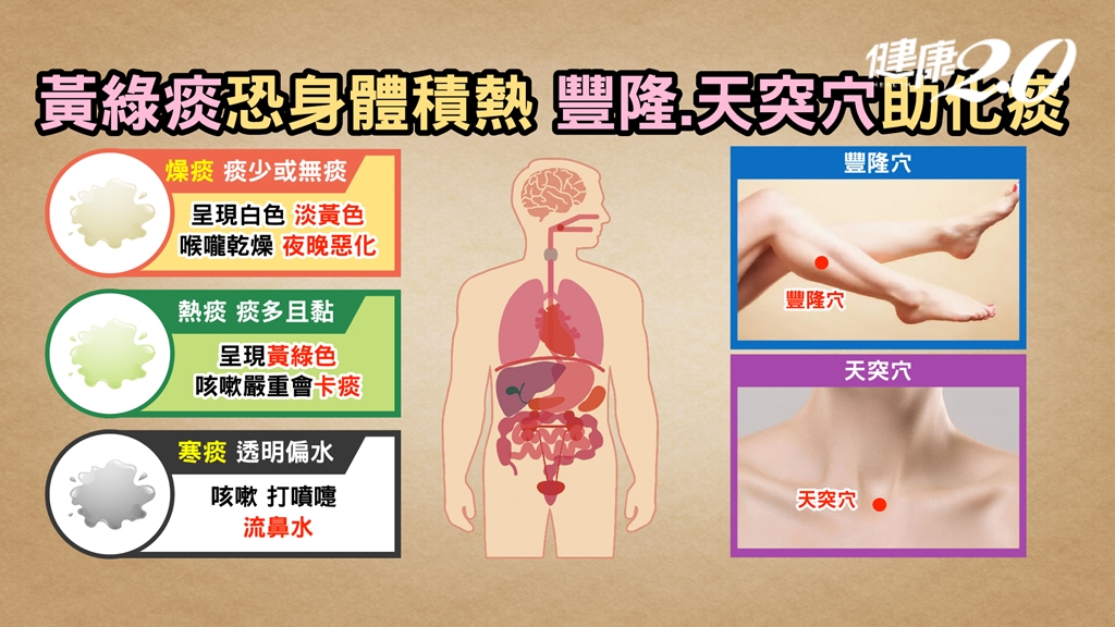 止咳化痰穴位