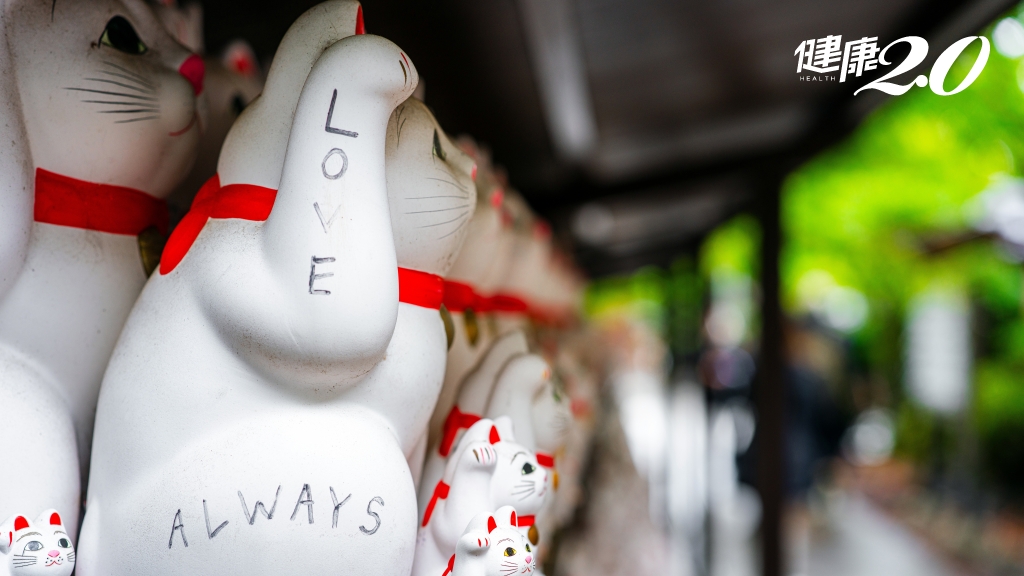 Search result thumbnail