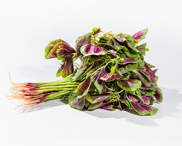 莧菜