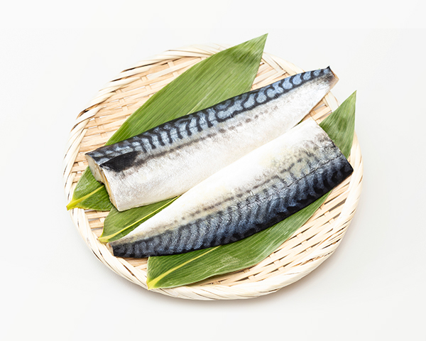 鯖魚