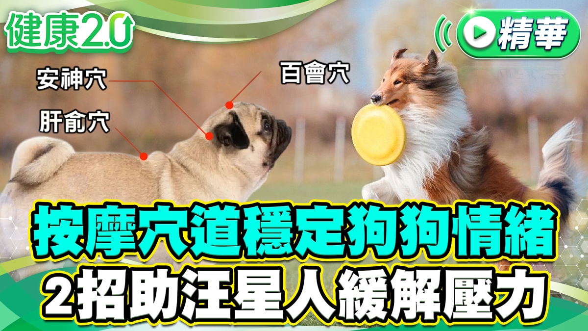狗寶貝情緒你懂嗎？摸一摸捏一捏！汪星人不會憂鬱大暴走