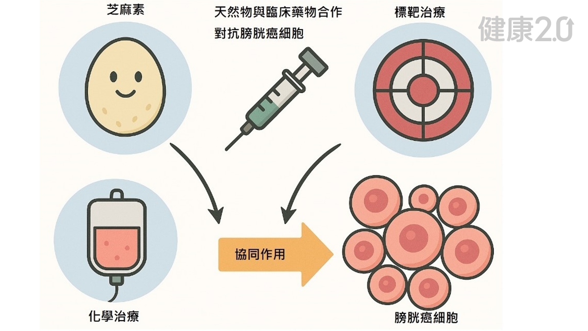 中西合璧抗癌！保住膀胱免於全切除 個人化藥方滾動調整