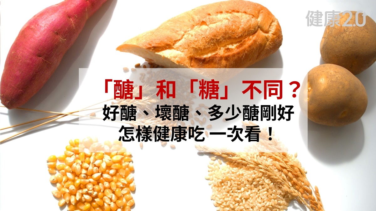 「醣」和「糖」一樣嗎?專家曝醣類食物這樣選 吃出健康無負擔