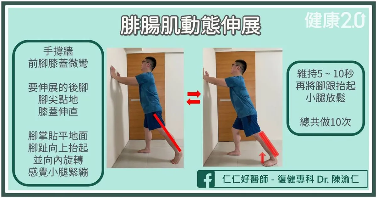 腓腸肌動態伸展-暖身