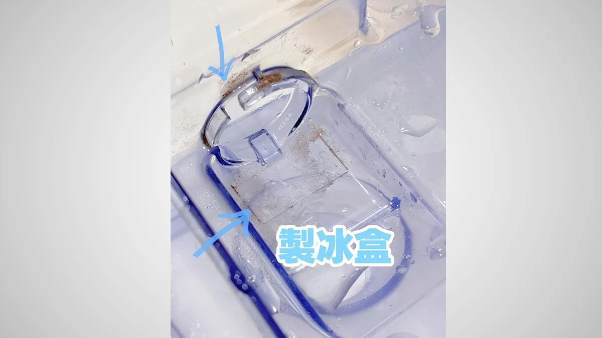 活了40年才知道!製冰盒竟是「黴菌培養皿」冷凍只抑菌不殺菌