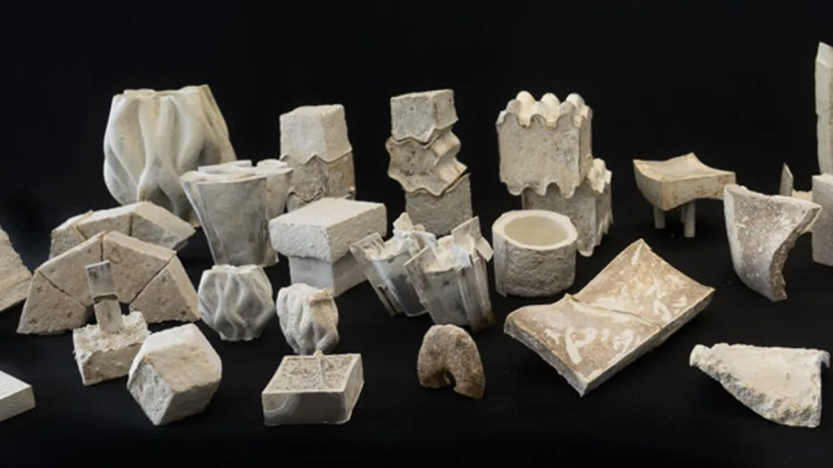 「菌絲」也能當建材?科學家研究「真菌建材」掀起綠色建築革命