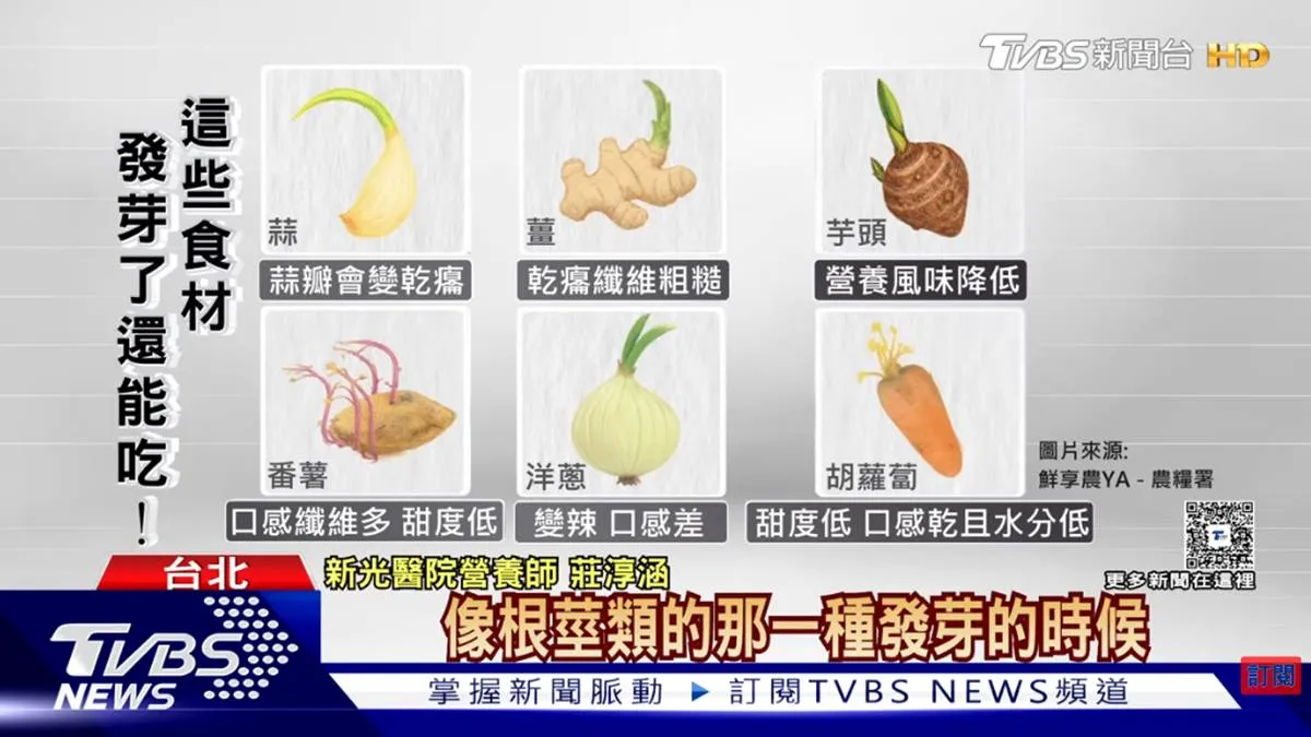 馬鈴薯發芽劇毒？營養師揭家中最危險發芽食物六大警示