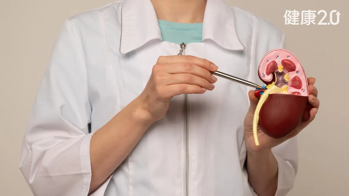 55歲女子腎功能崩壞 過度補保健品引禍端！醫曝5大警示