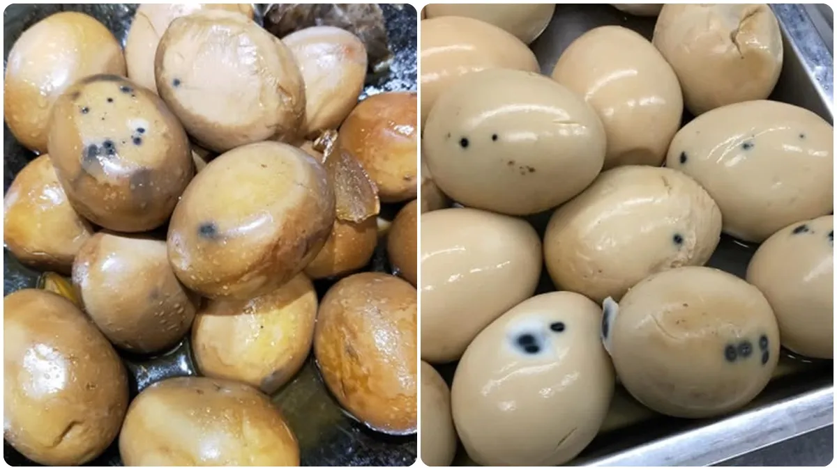 Search result thumbnail